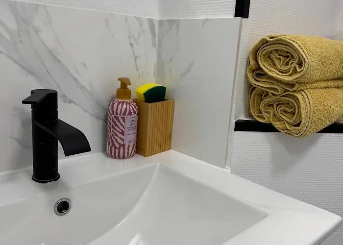 Le Germier - En Hyper-centre De 圖盧茲