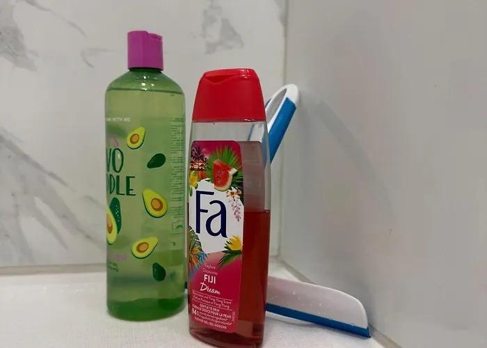 Le Germier - En Hyper-centre De 公寓 圖盧茲